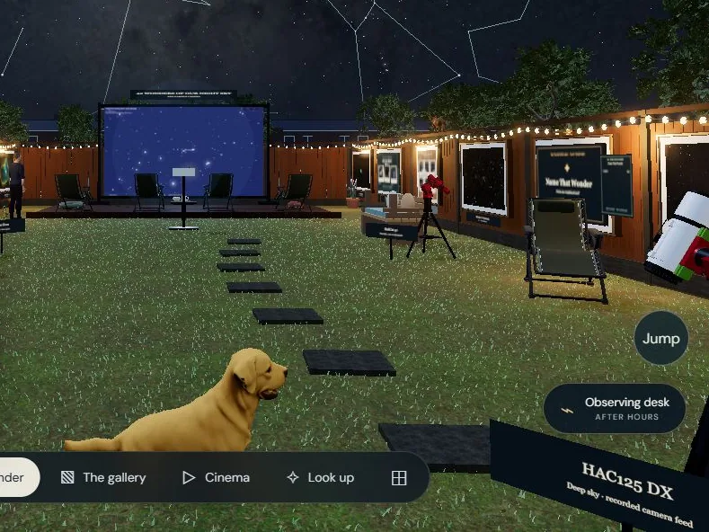 Screenshot of Night Garden: a lawn at night with stepping stones, a golden dog, fairy lights along the fence and an outdoor cinema screen